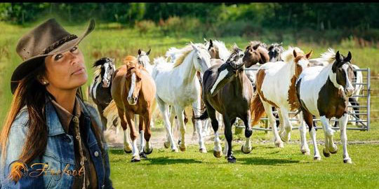 Cannock Chase Trekking Centre